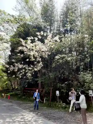 白笹稲荷神社(神奈川県)