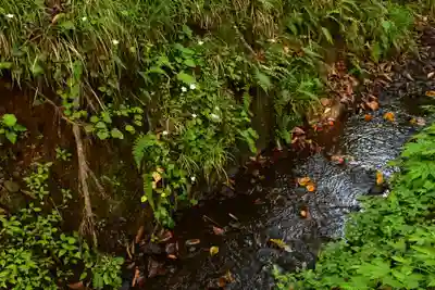 戸隠神社奥社(長野県)