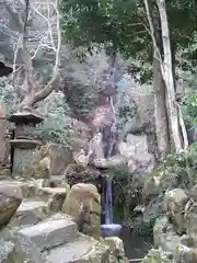 三瀧寺の自然