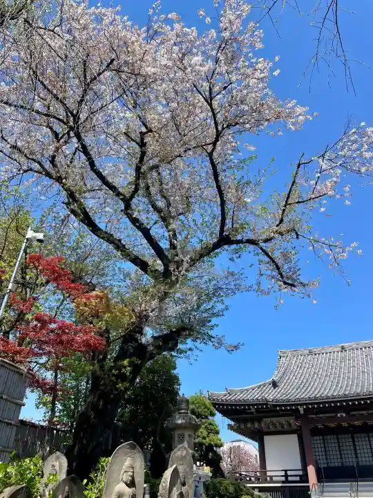 実相院の{uncategorized: "未分類", other: "その他", undefined: "問題あり", building: "その他建物", grave: "お墓", sacred_gate: "鳥居", guardian: "狛犬", statue: "像", buddha: "仏像", history: "歴史", nature: "自然", garden: "庭園", animal: "動物", pagoda: "塔", temizu: "手水舎", mountain_gate: "山門・神門", sanctuary: "本殿・本堂", subordinate: "末社・摂社", art: "芸術", scenery: "景色", jizo: "地蔵", ema: "絵馬", goshuin: "御朱印", omikuji: "おみくじ", items: "授与品その他", amulet: "お守り", goshuincho: "御朱印帳", eats: "食事", festival: "お祭り", votive_dance: "神楽", shichigosan: "七五三参", wedding: "結婚式", experience: "体験その他", initially: "初詣", around: "周辺", anti_infection: "感染症対策"}