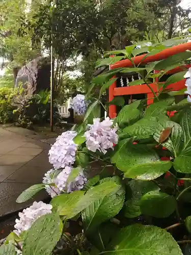 葛西神社の自然