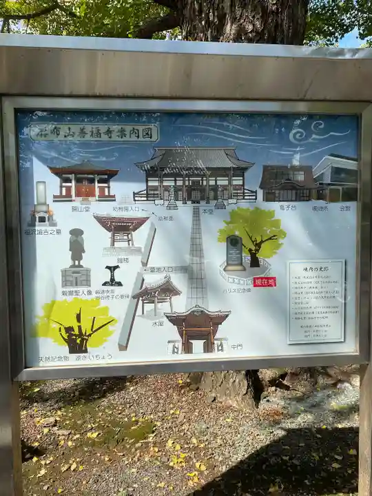 善福寺(東京都)