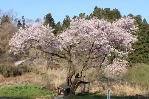 宇賀神さまの景色