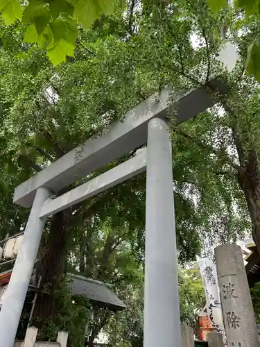 波除神社（波除稲荷神社）の鳥居