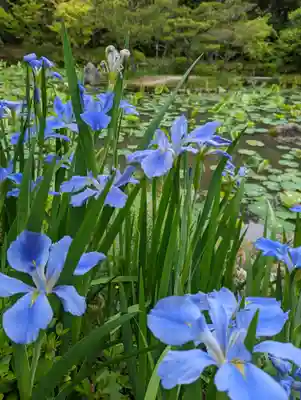 法金剛院(京都府)