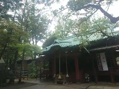 赤坂氷川神社の本殿・本堂