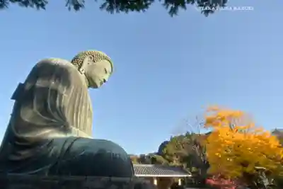 高徳院(神奈川県)