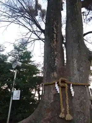 比々多神社(神奈川県)