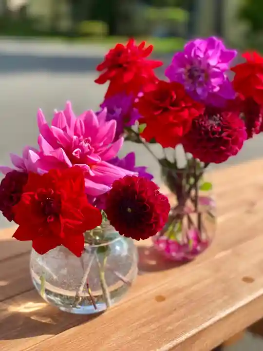 伊達神社の自然