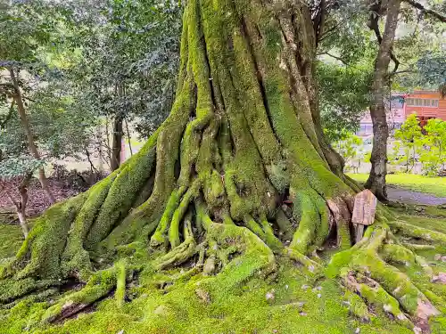 若狭神宮寺(福井県)