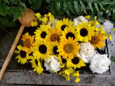 本郷氷川神社(東京都)