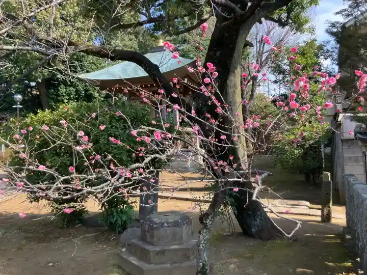 圓融寺の{uncategorized: "未分類", other: "その他", undefined: "問題あり", building: "その他建物", grave: "お墓", sacred_gate: "鳥居", guardian: "狛犬", statue: "像", buddha: "仏像", history: "歴史", nature: "自然", garden: "庭園", animal: "動物", pagoda: "塔", temizu: "手水舎", mountain_gate: "山門・神門", sanctuary: "本殿・本堂", subordinate: "末社・摂社", art: "芸術", scenery: "景色", jizo: "地蔵", ema: "絵馬", goshuin: "御朱印", omikuji: "おみくじ", items: "授与品その他", amulet: "お守り", goshuincho: "御朱印帳", eats: "食事", festival: "お祭り", votive_dance: "神楽", shichigosan: "七五三参", wedding: "結婚式", experience: "体験その他", initially: "初詣", around: "周辺", anti_infection: "感染症対策"}