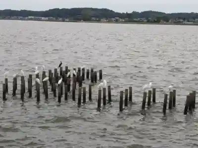 水神社(茨城県)
