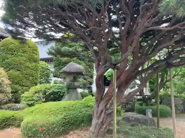 宝光寺の{uncategorized: "未分類", other: "その他", undefined: "問題あり", building: "その他建物", grave: "お墓", sacred_gate: "鳥居", guardian: "狛犬", statue: "像", buddha: "仏像", history: "歴史", nature: "自然", garden: "庭園", animal: "動物", pagoda: "塔", temizu: "手水舎", mountain_gate: "山門・神門", sanctuary: "本殿・本堂", subordinate: "末社・摂社", art: "芸術", scenery: "景色", jizo: "地蔵", ema: "絵馬", goshuin: "御朱印", omikuji: "おみくじ", items: "授与品その他", amulet: "お守り", goshuincho: "御朱印帳", eats: "食事", festival: "お祭り", votive_dance: "神楽", shichigosan: "七五三参", wedding: "結婚式", experience: "体験その他", initially: "初詣", around: "周辺", anti_infection: "感染症対策"}