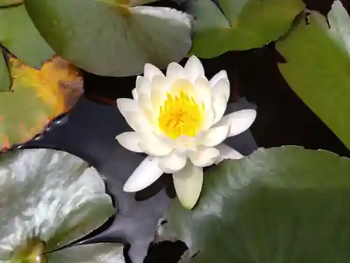 味真野神社(福井県)