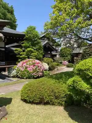 大昌寺(東京都)