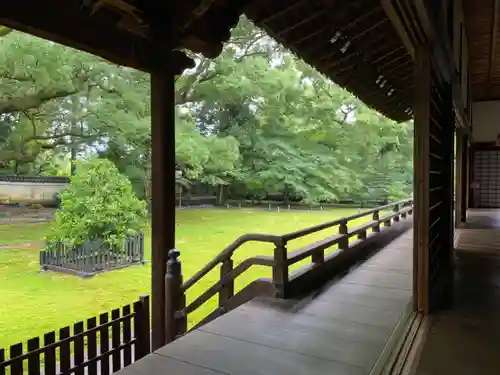 青蓮院門跡の庭園