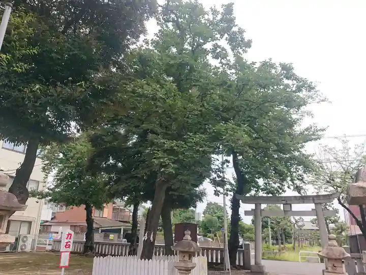 新曽氷川神社(埼玉県)