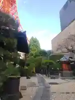 心光院(東京都)