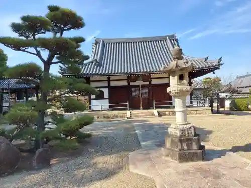 野中寺の{uncategorized: "未分類", other: "その他", undefined: "問題あり", building: "その他建物", grave: "お墓", sacred_gate: "鳥居", guardian: "狛犬", statue: "像", buddha: "仏像", history: "歴史", nature: "自然", garden: "庭園", animal: "動物", pagoda: "塔", temizu: "手水舎", mountain_gate: "山門・神門", sanctuary: "本殿・本堂", subordinate: "末社・摂社", art: "芸術", scenery: "景色", jizo: "地蔵", ema: "絵馬", goshuin: "御朱印", omikuji: "おみくじ", items: "授与品その他", amulet: "お守り", goshuincho: "御朱印帳", eats: "食事", festival: "お祭り", votive_dance: "神楽", shichigosan: "七五三参", wedding: "結婚式", experience: "体験その他", initially: "初詣", around: "周辺", anti_infection: "感染症対策"}