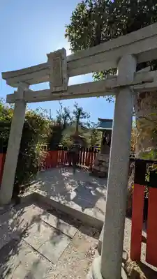 小唐崎神社(滋賀県)