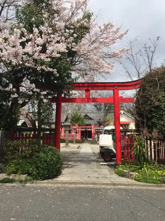 玉姫稲荷神社の鳥居