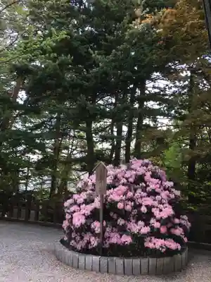 白石神社(北海道)