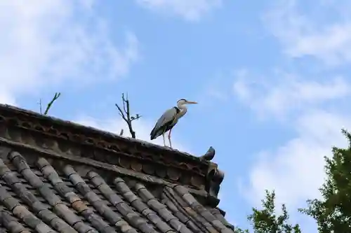 三津厳島神社(愛媛県)
