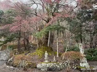 中禅寺(栃木県)
