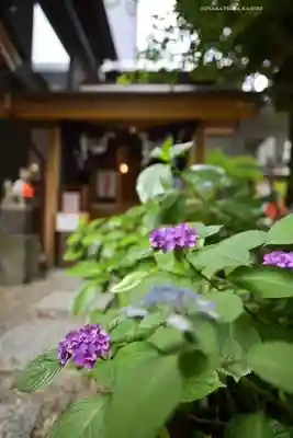 五十稲荷神社(栄寿稲荷神社)(東京都)