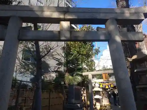 高円寺氷川神社の鳥居