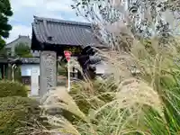 建正寺(埼玉県)