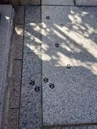 駒込妙義神社(東京都)