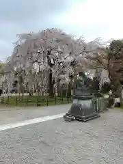 足羽神社の自然