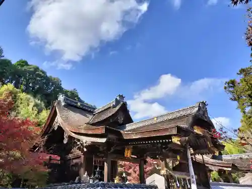 鍬山神社の本殿