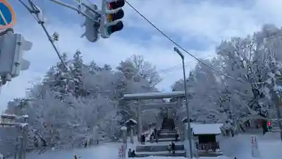 上川神社の初詣
