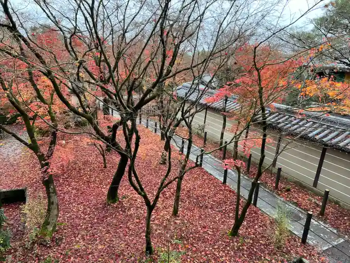 禅林寺(永観堂)(京都府)