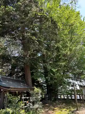 鹿嶋神社(茨城県)