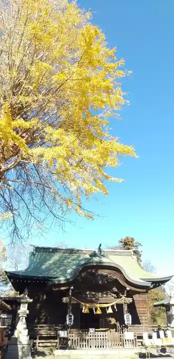 菊田神社の本殿・本堂