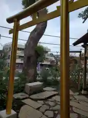 田無神社の鳥居