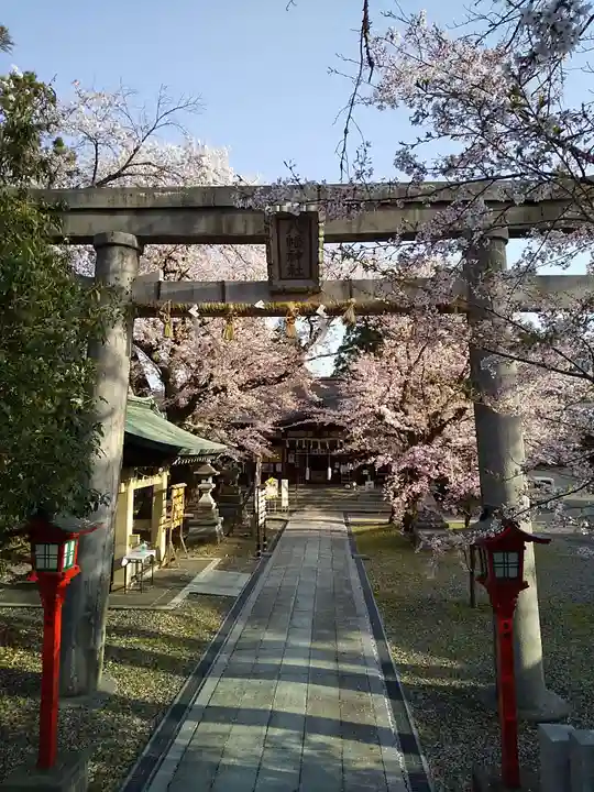 湊八幡神社の鳥居