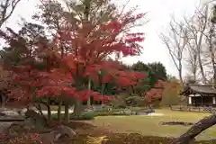 観泉寺の庭園