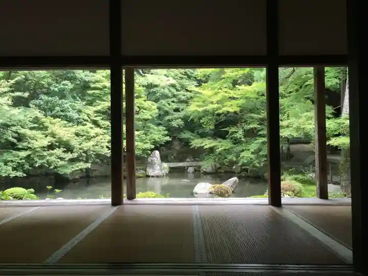 蓮華寺(洛北蓮華寺)の庭園