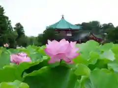 寛永寺不忍池弁天堂の本殿