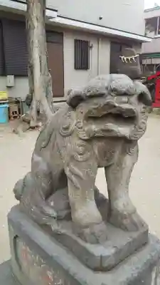 結城神明神社の狛犬