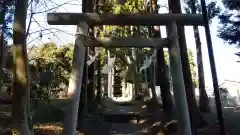 大山祇神社の鳥居