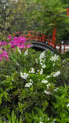 賀茂御祖神社（下鴨神社）(京都府)