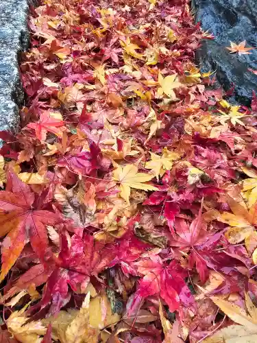 伏見稲荷大社　御膳谷奉拝所(京都府)