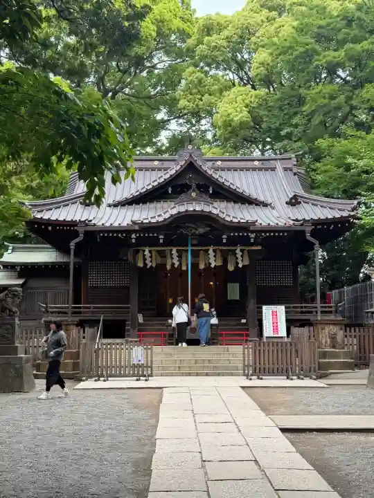 代々木八幡宮の{uncategorized: "未分類", other: "その他", undefined: "問題あり", building: "その他建物", grave: "お墓", sacred_gate: "鳥居", guardian: "狛犬", statue: "像", buddha: "仏像", history: "歴史", nature: "自然", garden: "庭園", animal: "動物", pagoda: "塔", temizu: "手水舎", mountain_gate: "山門・神門", sanctuary: "本殿・本堂", subordinate: "末社・摂社", art: "芸術", scenery: "景色", jizo: "地蔵", ema: "絵馬", goshuin: "御朱印", omikuji: "おみくじ", items: "授与品その他", amulet: "お守り", goshuincho: "御朱印帳", eats: "食事", festival: "お祭り", votive_dance: "神楽", shichigosan: "七五三参", wedding: "結婚式", experience: "体験その他", initially: "初詣", around: "周辺", anti_infection: "感染症対策"}