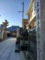 不動院の{uncategorized: "未分類", other: "その他", undefined: "問題あり", building: "その他建物", grave: "お墓", sacred_gate: "鳥居", guardian: "狛犬", statue: "像", buddha: "仏像", history: "歴史", nature: "自然", garden: "庭園", animal: "動物", pagoda: "塔", temizu: "手水舎", mountain_gate: "山門・神門", sanctuary: "本殿・本堂", subordinate: "末社・摂社", art: "芸術", scenery: "景色", jizo: "地蔵", ema: "絵馬", goshuin: "御朱印", omikuji: "おみくじ", items: "授与品その他", amulet: "お守り", goshuincho: "御朱印帳", eats: "食事", festival: "お祭り", votive_dance: "神楽", shichigosan: "七五三参", wedding: "結婚式", experience: "体験その他", initially: "初詣", around: "周辺", anti_infection: "感染症対策"}